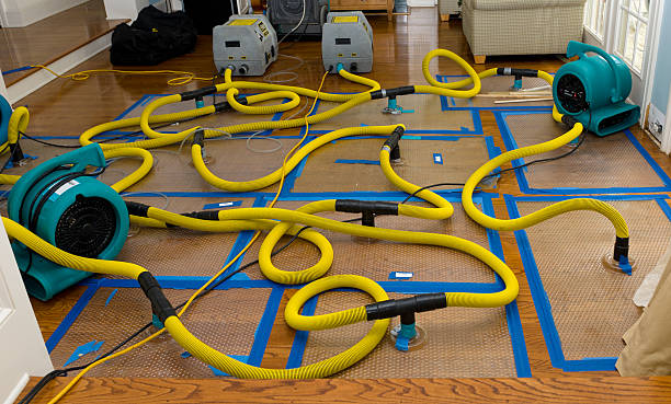 Professional Sewage Cleanup technician working in Saint Libory, IL